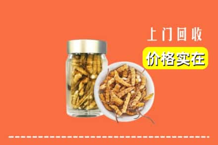 收购资讯:嘉禾县回收散虫草