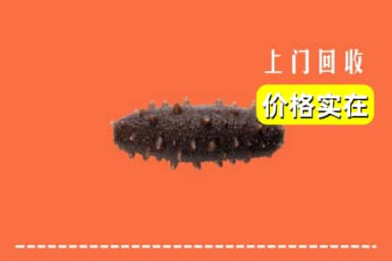 收购资讯:嘉禾县回收海参