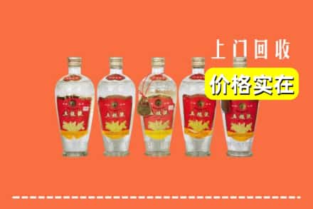 嘉禾县回收老五粮液